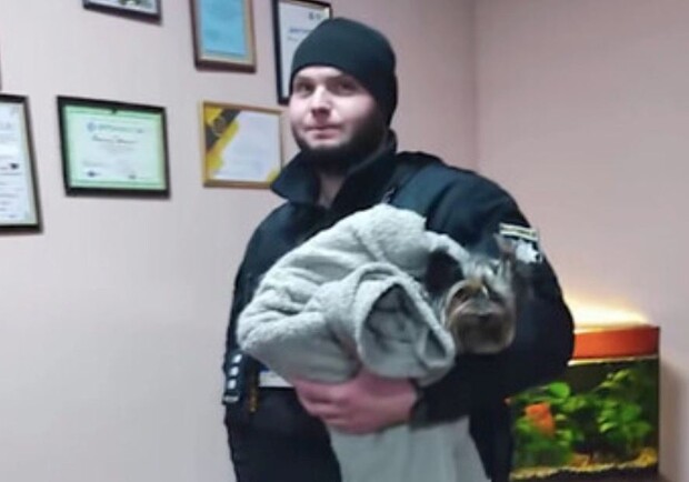 В Киеве мужчина издевался над щенком йорка в парке: Видео. 