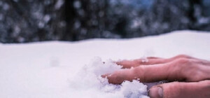 В Одессе из-за непогоды погибли три человека