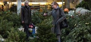 Українці можуть перевірити легальність ялинок перед покупкою