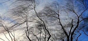 На завтра в Одессе объявили штормовое предупреждение 