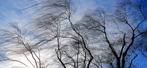 Синоптики попередили про пориви вітру та ожеледицю на 4 і 5 січня