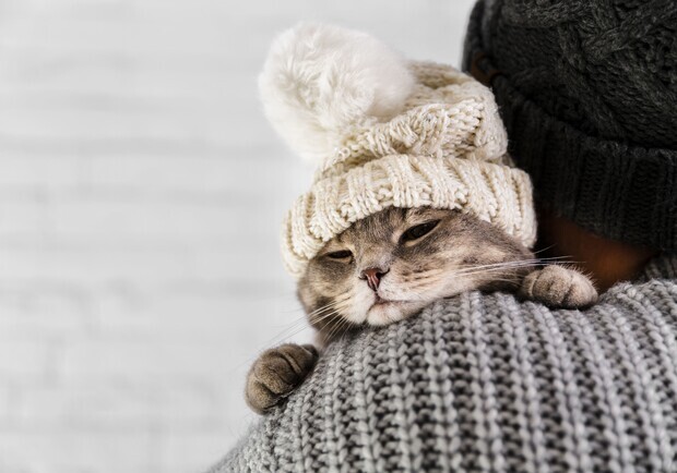 Чи будуть морози: яка погода очікує на одеситів у лютому