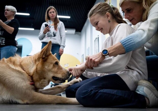 У Києві відкрився центр канісцерапії – лікування за допомогою собак (фото). 