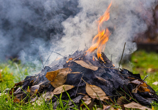 За поджог травы в Киеве можно получить суровое наказание вплоть до пожизненного заключения. 