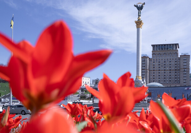 У Києві розквітли тюльпани: локації для фото 
