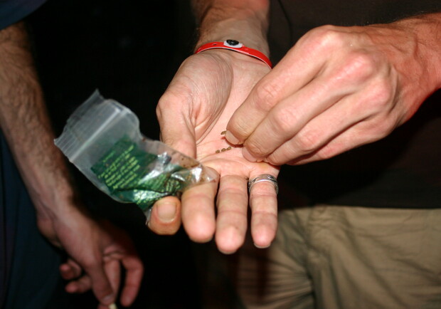 Любители легких наркотиков боролись за свои права. Фото с сайта sxc.hu
