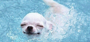 Стало известно, когда в Запорожье спадет жара