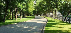 В Одессе появятся три новых сквера