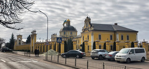 У Червонограді судили жінку, яка стрибала по чужих авто і матюкалась до поліції 