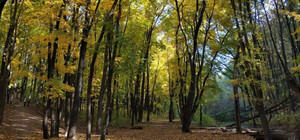 Пропав на Олексіївці: у Харкові знайшли мертвим 15-річного хлопця