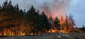 В Изюмском районе десятый день борются с масштабным лесным пожаром: есть пострадавшие 