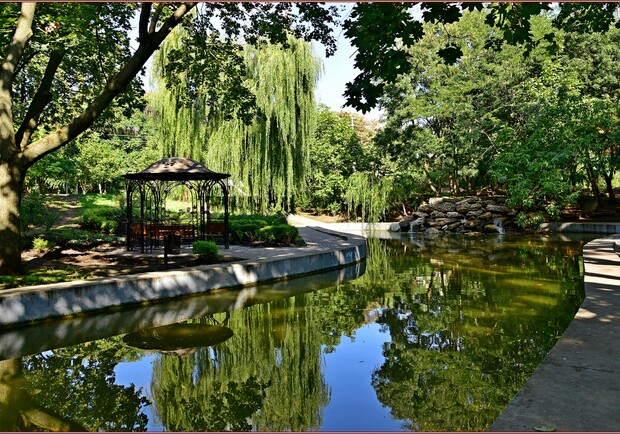 Лекция про Дмитрия Павлычко и митинг у 