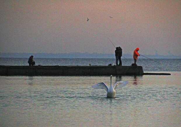 Концерты DOROFEEVA и YAKTAK: куда пойти в Одессе на следующей неделе