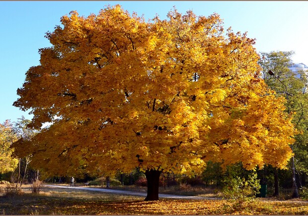 Мастер-класс по бисероплетению и концерт Лилу45: куда пойти в Одессе в эти выходные