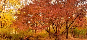 Какая погода будет в Одессе в эти выходные