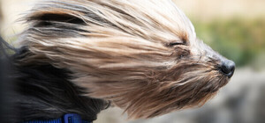 Могут быть проблемы со светом: какая погода будет в Одессе в эти выходные