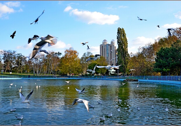 Куда пойти в Одессе бесплатно на текущей неделе