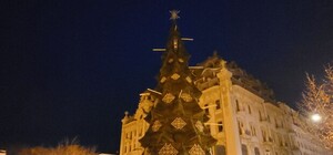 Получи ответ: когда и где установят главную новогоднюю елку в Одессе
