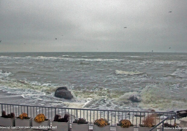 Открытие выставки и встреча с поэтессой: куда пойти в Одессе бесплатно на текущей неделе