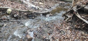 В Запорожье обнаружили ручей, загрязненный нефтепродуктами