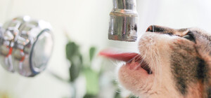 Наступного тижня у Дніпрі відключатимуть воду боржникам: адреси будинків