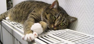 Жителям Приднепровска утвержден механизм выплат за потребленную электроэнергию