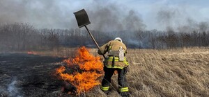Сжигание сухой травы: какие штрафы угрожают украинцам