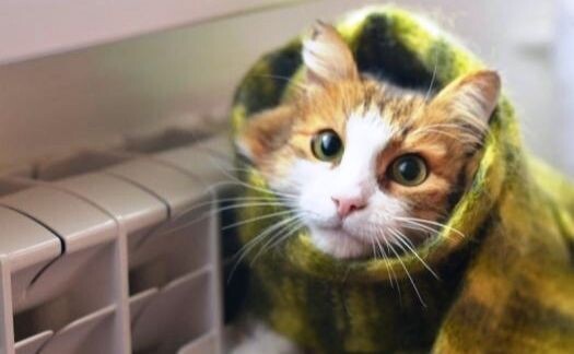 Получи ответ: когда в Одессе и Одесской области завершится отопительный сезон