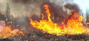 В Немышлянском районе спасатели борются с масштабным пожаром (фото, видео)