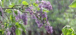 З невеликими дощами: яка погода буде в Одесі наступного тижня