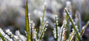 В Запорожье прогнозируют существенное похолодание: предупреждают о заморозках