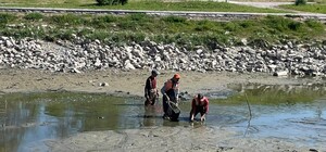 В Запорожье обмелели водоемы в Дубовке и на Радуге: комментарий главы ОВА