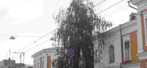 С улицы Университетской начался Харьков