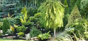 У Дніпрі оголосили конкурс на найкращий двір