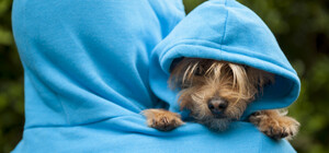 Синоптикиня предупредила, что в Украину идет похолодание