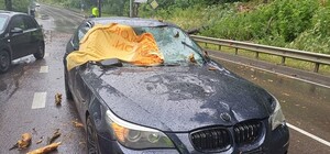 Біля Львова на автомобіль впало дерево, дівчину забрала 