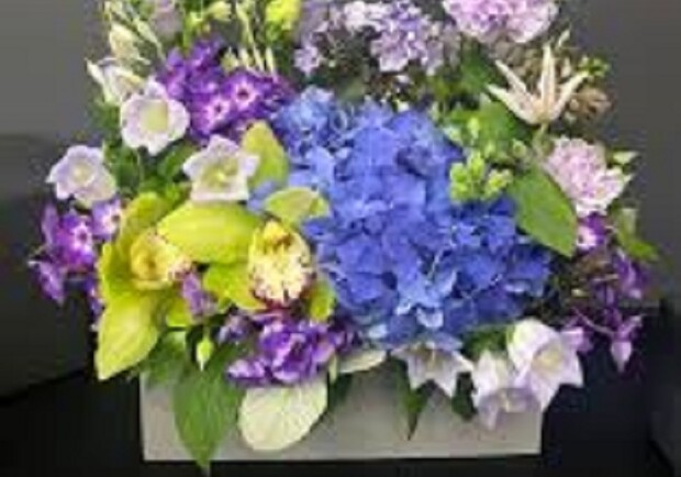 КВІТИ на ОСКАР - фото