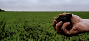 Днепропетровская область вошла в ТОП-5 по цене сельскохозяйственной земли