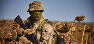 ЗСУ відбили позиції в Малій Токмачці, а РФ просунулася в Малинівці: яка ситуація на Запорізькому напрямку