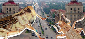 Українці такі українці: мешканці Запоріжжя перетворили нашестя сарани на заробіток