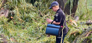 Полиция расследует трагедию в Балте: во время непогоды погиб подросток, четверо девушек травмированы