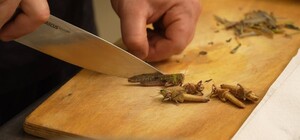 З поля - на тарілку: дніпровські кухарі готують страви з сарани