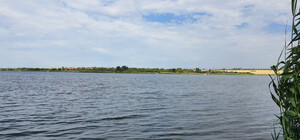 У річці на Харківщині виявили холерний вібріон: зону відпочинку закрито