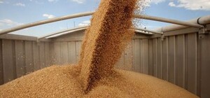 Нанес государству миллионные убытки: в Одесской области будут судить директора агрофирмы