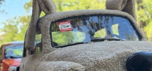 В Днепре на проспекте Яворницкого появился пушистый 