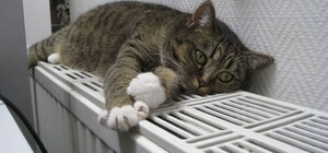 Опалювальний сезон в Одеській області: наскільки готові до зими