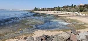 Почернение моря в Одесском районе: что обнаружили экологи
