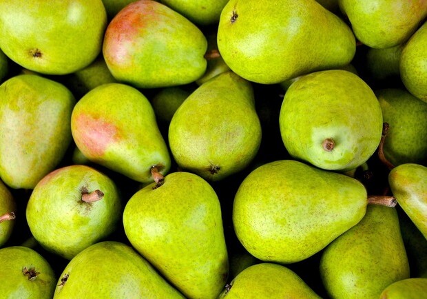 Где в эти выходные в Киеве пройдут продуктовые ярмарки. Адреса 