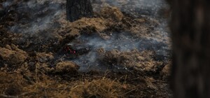 В ОВА розповіли, де в Дніпропетровській області найчастіше стаються пожежі