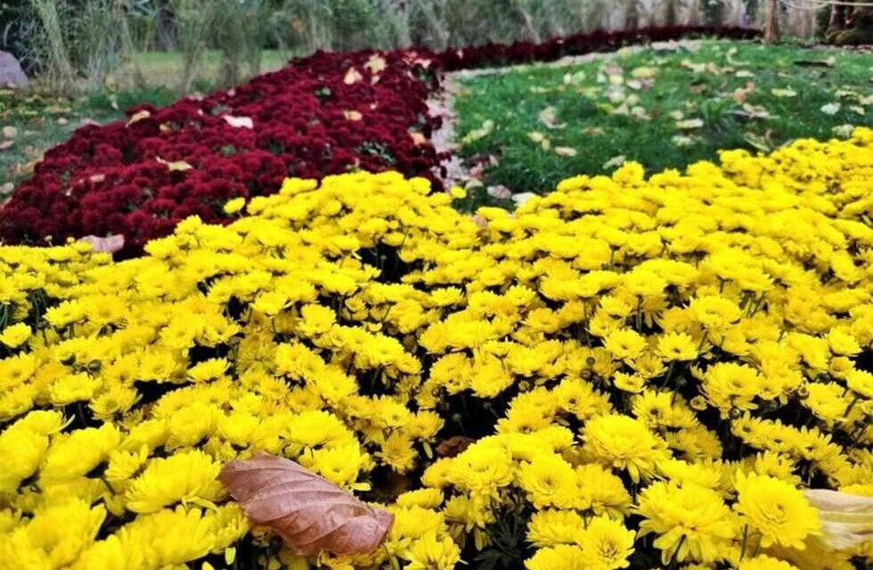 Диван подождет: куда пойти в Киеве на этой неделе, 29 сентября – 3 октября Фото: facebook.com/spivochepole